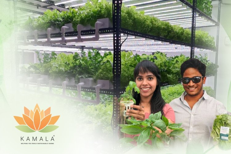 A New Era of Farming: Kamala Farms' Hydroponic Technology Takes Root in India