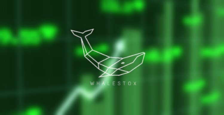 Whalestox: Empowering Traders & Investors with Expert Equity Insights & Learning content