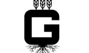 Galar Fertilizers and Chemicals: Revolutionizing Agriculture with Nano Technology