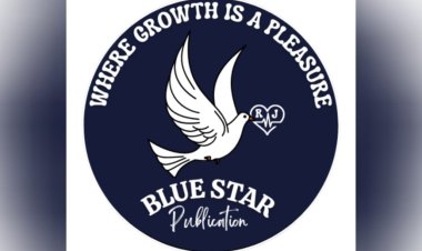 501 Writers Recognized Nationwide in Blue Star Publication’s LITSTAR Summit 2025