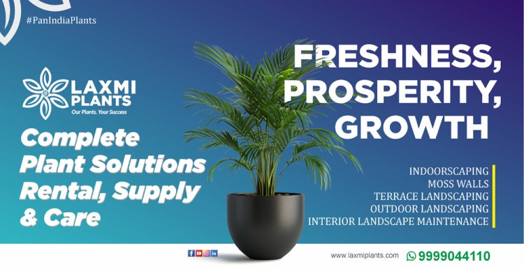 Laxmi Plants: Complete Plant Solutions – Rental, Supply & Care Across PAN India