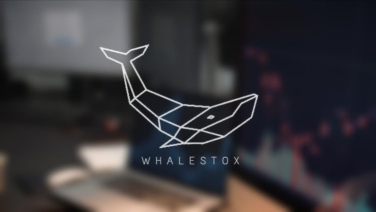 Whalestox: Empowering India’s New-Age Traders Through Practical Stock Market Education