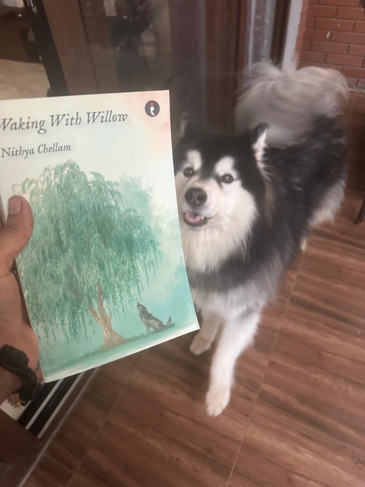 Waking with Willow: Author Nithya Chellam Unlocks the Healing Power of Plant Spirit Guides